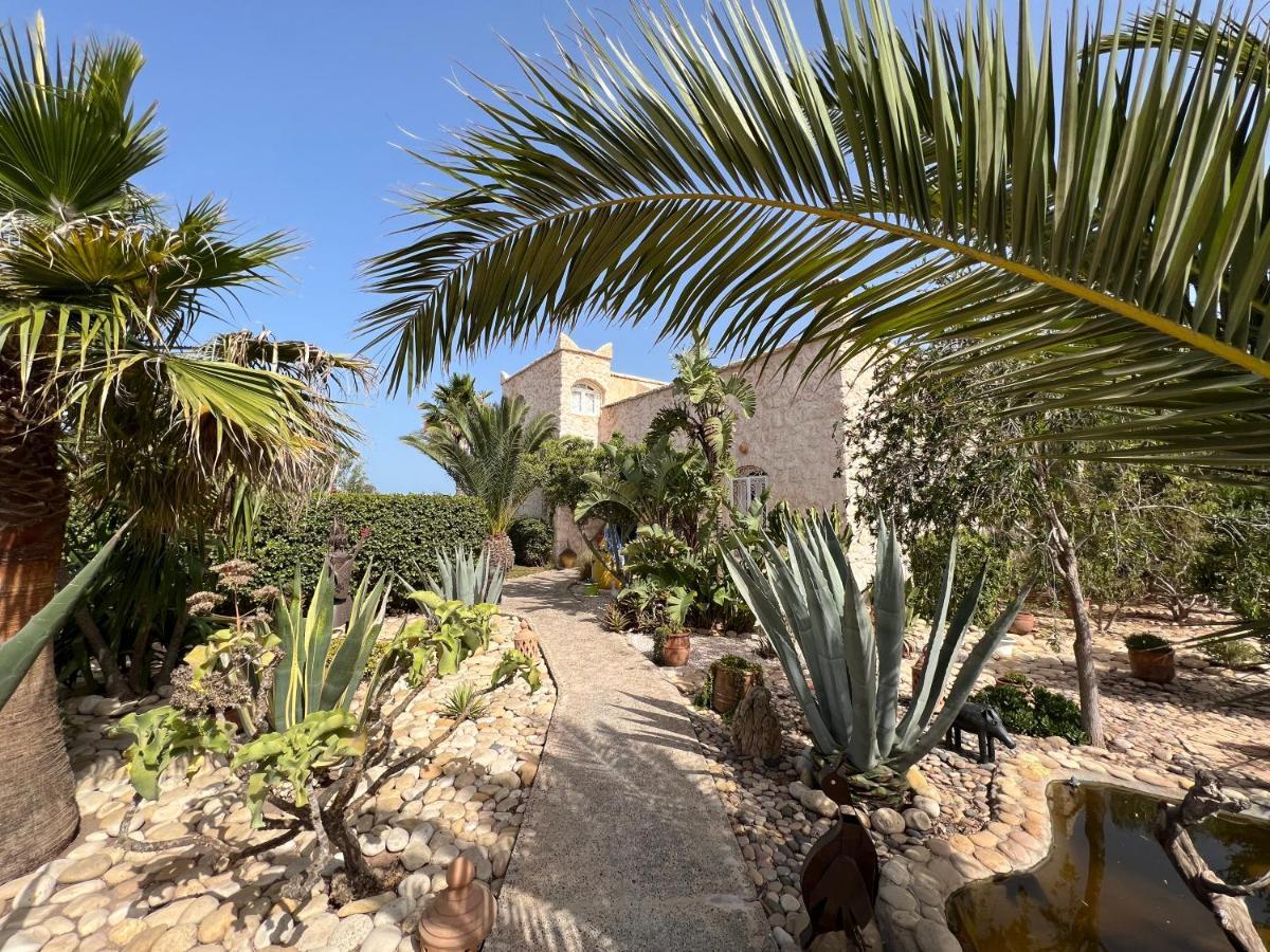 Dar Macha Hotel Ghazoua Bagian luar foto